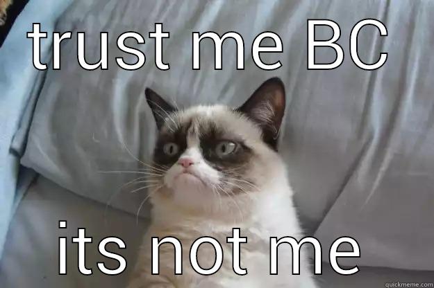 grumpy cat - TRUST ME BC ITS NOT ME Grumpy Cat