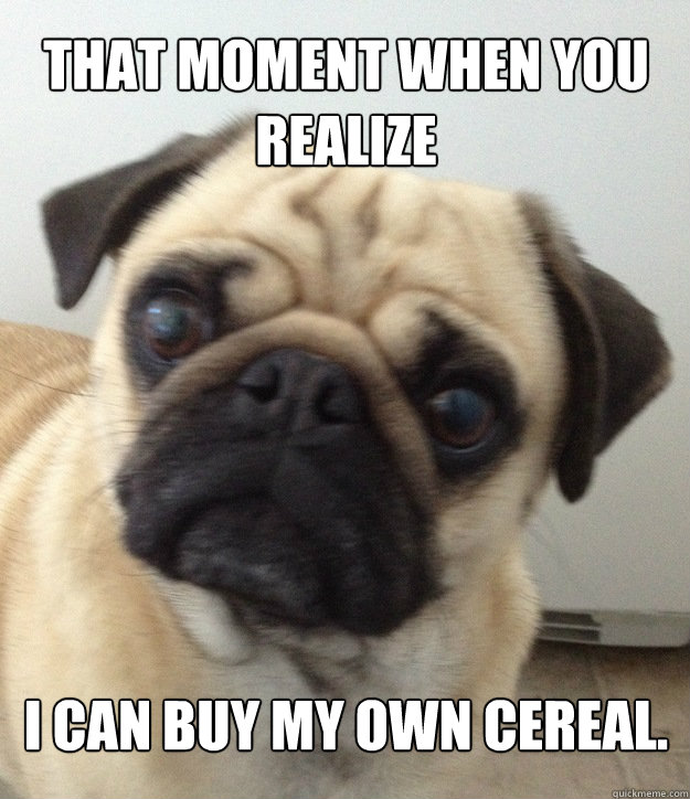 That Moment When You Realize I can buy my own cereal.  Game Pug