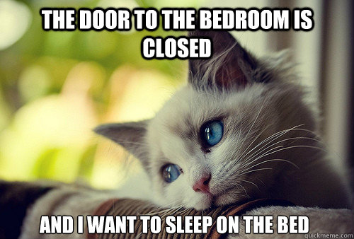 The door to the bedroom is closed and I want to sleep on the bed  First World Problems Cat