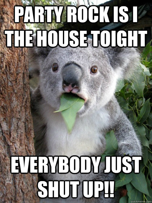 PARTY ROCK IS I THE HOUSE TOIGHT EVERYBODY JUST SHUT UP!! - PARTY ROCK IS I THE HOUSE TOIGHT EVERYBODY JUST SHUT UP!!  koala bear