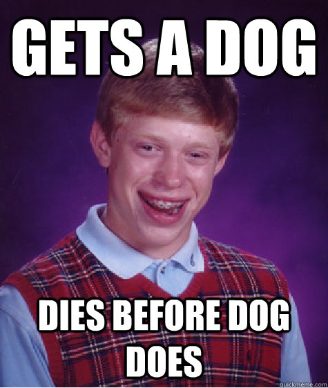 Gets a dog Dies before dog does  Unlucky Brian