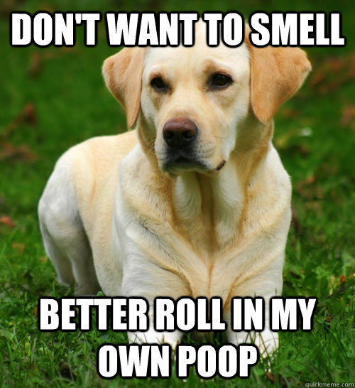 Don't want to smell better roll in my own poop  Dog Logic