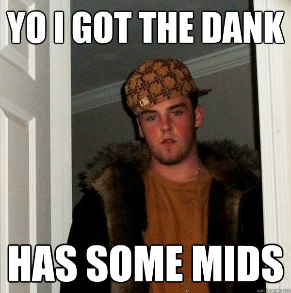 Yo i got the dank Has some mids  Scumbag Steve