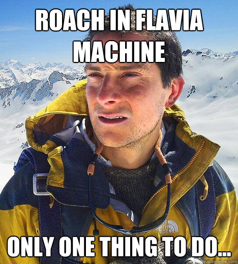 roach in flavia machine only one thing to do...  Bear Grylls