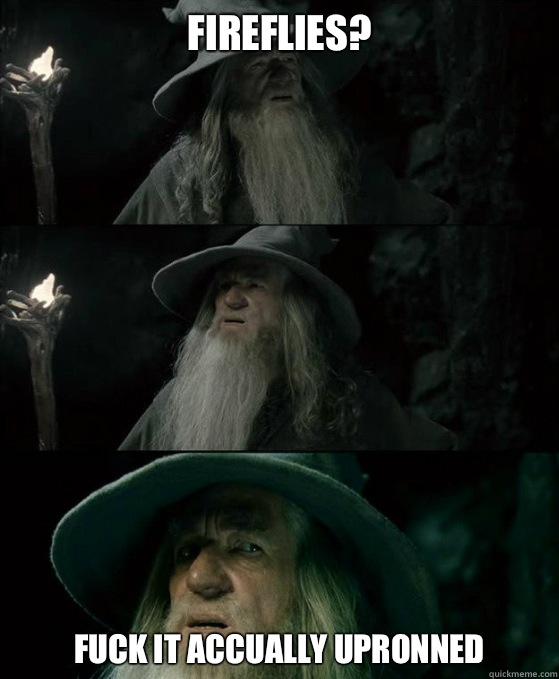 Fireflies? Fuck it accually upronned  Confused Gandalf