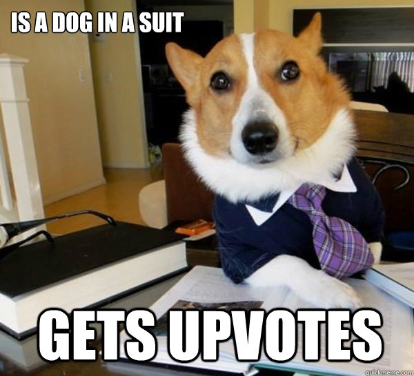 IS A DOG IN A SUIT GETS UPVOTES  Lawyer Dog