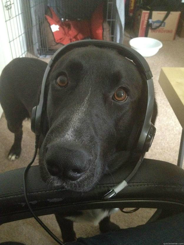   -    Gamer Dog