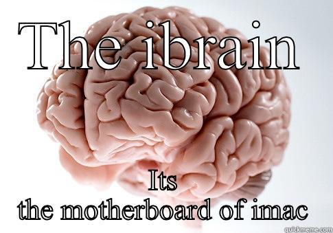 The new IBRAIN - THE IBRAIN ITS THE MOTHERBOARD OF IMAC Scumbag Brain