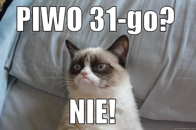 Piwo przed wypłatą - PIWO 31-GO? NIE!  Grumpy Cat