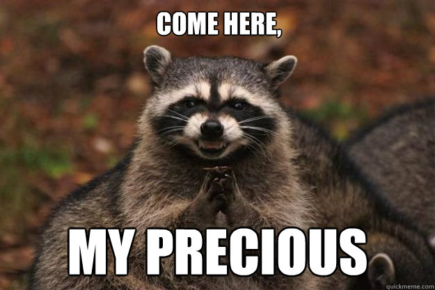 COME HERE, MY PRECIOUS  Evil Plotting Raccoon