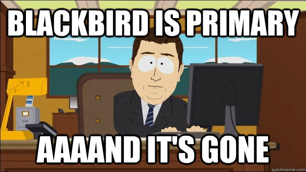 blackbird is primary AAAAND It's gone  aaaand its gone