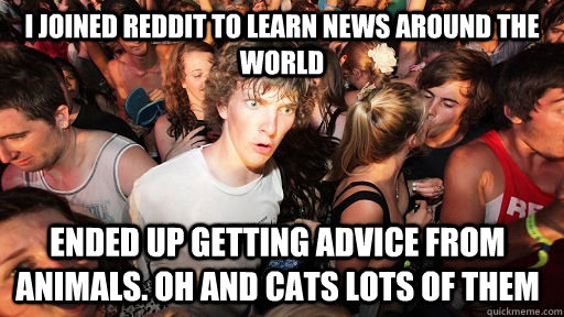 I joined Reddit to learn news around the world Ended up Getting advice from animals. Oh and CATS LOTS OF THEM - I joined Reddit to learn news around the world Ended up Getting advice from animals. Oh and CATS LOTS OF THEM  Sudden Clarity Clarence