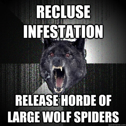 Recluse infestation release horde of large wolf spiders - Recluse infestation release horde of large wolf spiders  Insanity Wolf