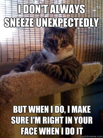 I don't always sneeze unexpectedly but when I do, I make sure I'm right in your face when i do it - I don't always sneeze unexpectedly but when I do, I make sure I'm right in your face when i do it  The Most Interesting Cat in the World