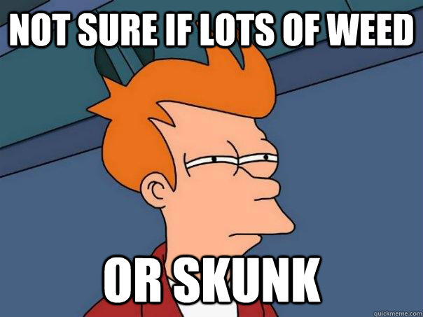 Not sure if lots of weed Or skunk  Futurama Fry