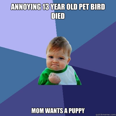 annoying 13 year old pet bird died mom wants a puppy  Success Kid