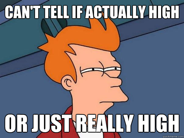 can't tell if actually high or just really high  Futurama Fry