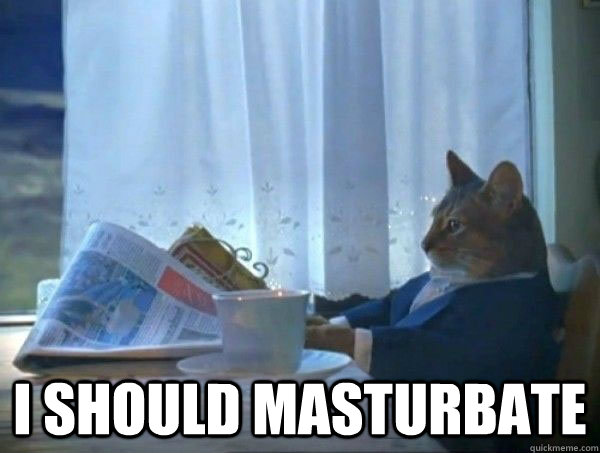  I should masturbate -  I should masturbate  morning realization newspaper cat meme