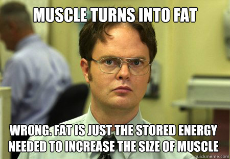 Muscle turns into fat Wrong. Fat is just the stored energy needed to increase the size of muscle  Dwight