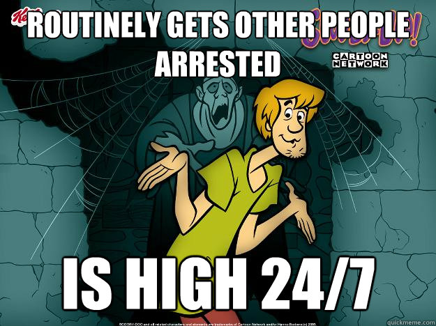 routinely gets other people arrested is high 24/7  Irrational Shaggy