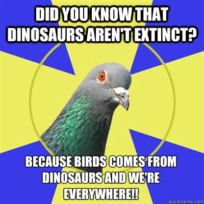 Did you know that dinosaurs aren't extinct? Because birds comes from dinosaurs and we're everywhere!!
 - Did you know that dinosaurs aren't extinct? Because birds comes from dinosaurs and we're everywhere!!
  Religion Pigeon