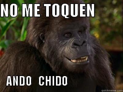 ando chido - NO ME TOQUEN          ANDO   CHIDO                        Misc