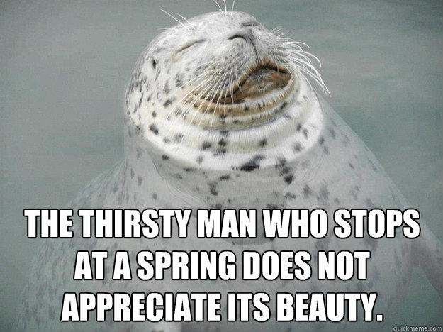 THE thirsty man who stops at a spring does not appreciate its beauty.  