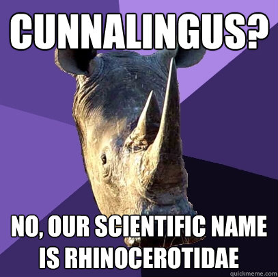 Cunnalingus? No, our scientific name is Rhinocerotidae  Sexually Oblivious Rhino