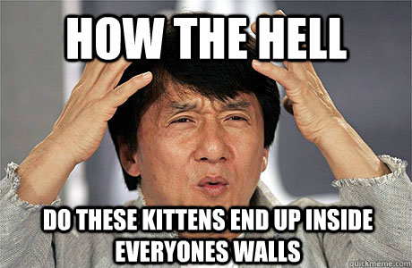 How the hell do these kittens end up inside everyones walls  EPIC JACKIE CHAN