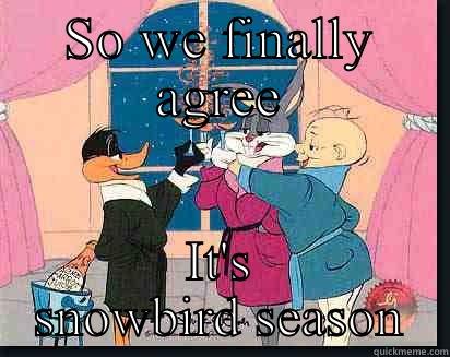 SO WE FINALLY AGREE IT'S SNOWBIRD SEASON Misc