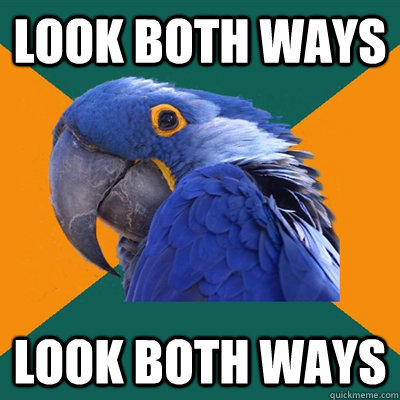 look both ways look both ways - look both ways look both ways  Paranoid Parrot