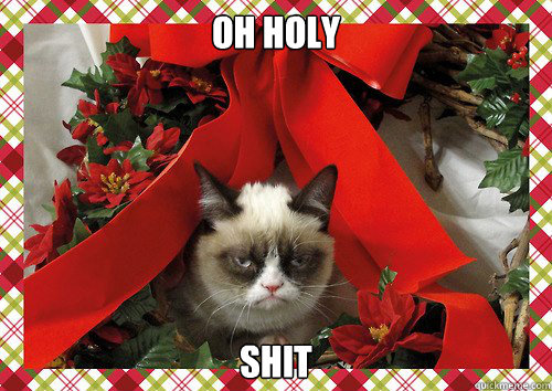 Oh Holy Shit  A Grumpy Cat Christmas