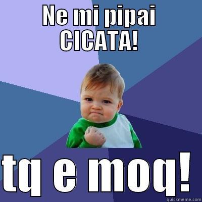 CICATA e moq - NE MI PIPAI CICATA!  TQ E MOQ! Success Kid