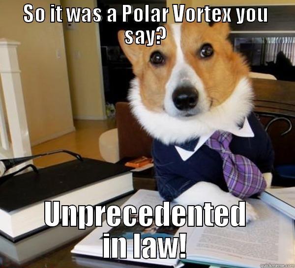 Law Dog on Polar Vortexes - SO IT WAS A POLAR VORTEX YOU SAY? UNPRECEDENTED IN LAW! Lawyer Dog