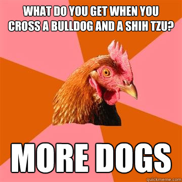 what do you get when you cross a bulldog and a shih tzu? more dogs - what do you get when you cross a bulldog and a shih tzu? more dogs  Anti-Joke Chicken