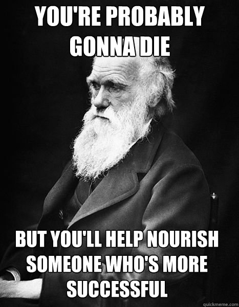 you're probably gonna die but you'll help nourish someone who's more successful  