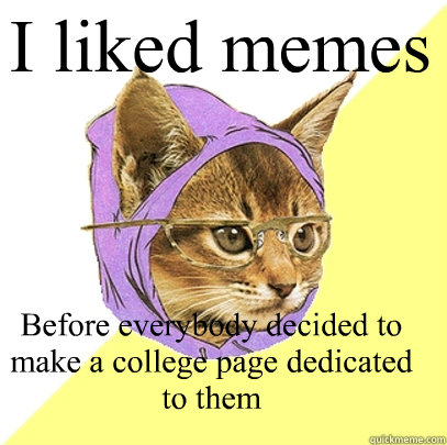 I liked memes  Before everybody decided to make a college page dedicated to them  Hipster Kitty