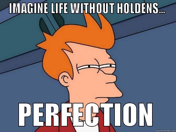 IMAGINE LIFE WITHOUT HOLDENS... PERFECTION Futurama Fry