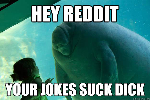 hey reddit your jokes suck dick  Overlord Manatee