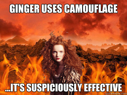 Ginger uses camouflage ...it's suspiciously effective - Ginger uses camouflage ...it's suspiciously effective  ginger camouflage