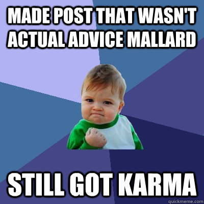 Made post that wasn't Actual Advice Mallard Still got karma  Success Kid