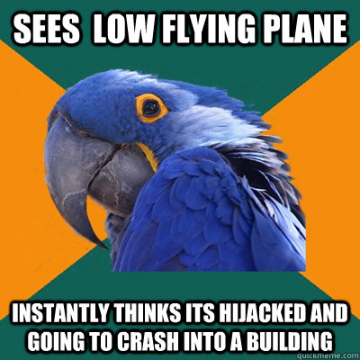 sees  low flying plane instantly thinks its hijacked and going to crash into a building  Paranoid Parrot