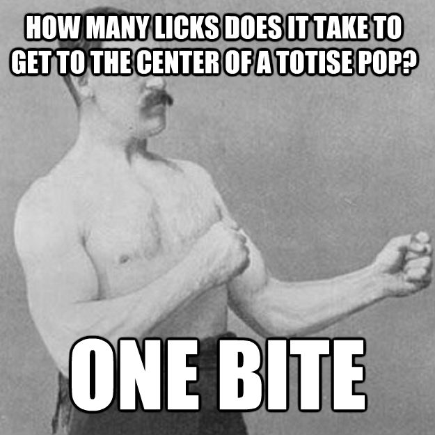 HOW MANY LICKS DOES IT TAKE TO GET TO THE CENTER OF A TOTISE POP? ONE BITE  untitled meme