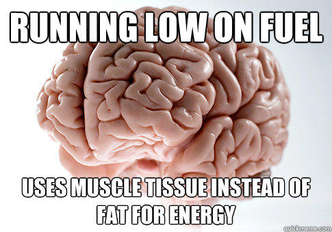 Running low on fuel  Uses muscle tissue instead of fat for energy - Running low on fuel  Uses muscle tissue instead of fat for energy  Scumbag Brain