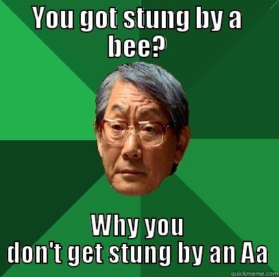 YOU GOT STUNG BY A BEE? WHY YOU DON'T GET STUNG BY AN AA High Expectations Asian Father