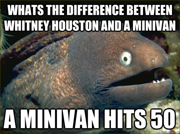 whats the difference between whitney houston and a minivan a minivan hits 50 - whats the difference between whitney houston and a minivan a minivan hits 50  Bad Joke Eel