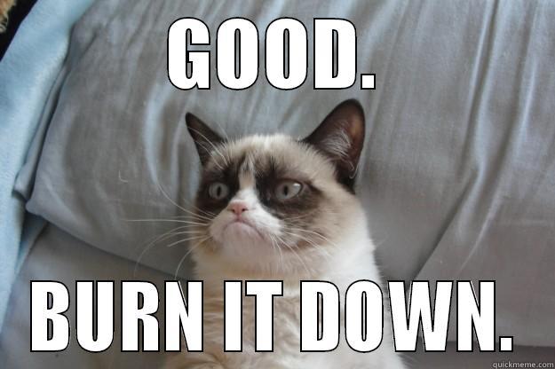 Burn it - GOOD. BURN IT DOWN. Grumpy Cat