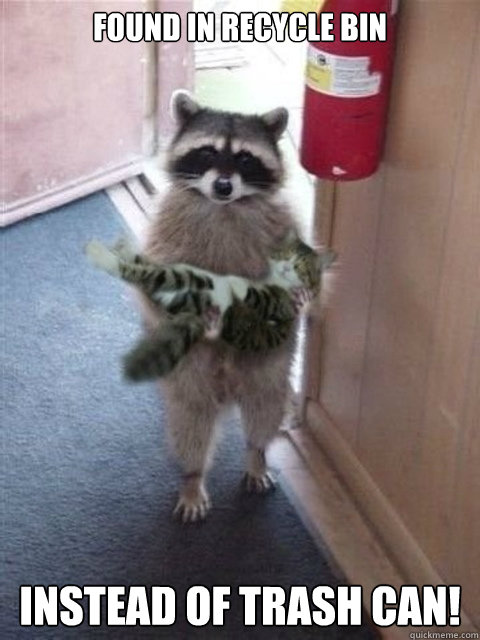 found in recycle bin instead of trash can! - found in recycle bin instead of trash can!  Raccoon cat hostage