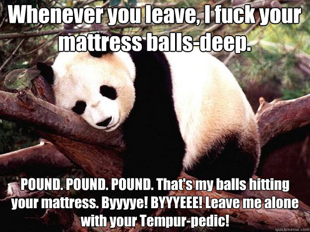 Whenever you leave, I fuck your mattress balls-deep. POUND. POUND. POUND. That's my balls hitting your mattress. Byyyye! BYYYEEE! Leave me alone with your Tempur-pedic!  Procrastination Panda