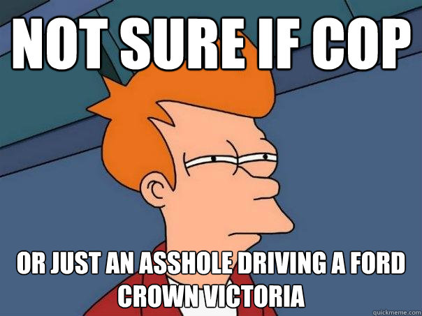 not sure if cop or just an asshole driving a ford crown victoria  Futurama Fry